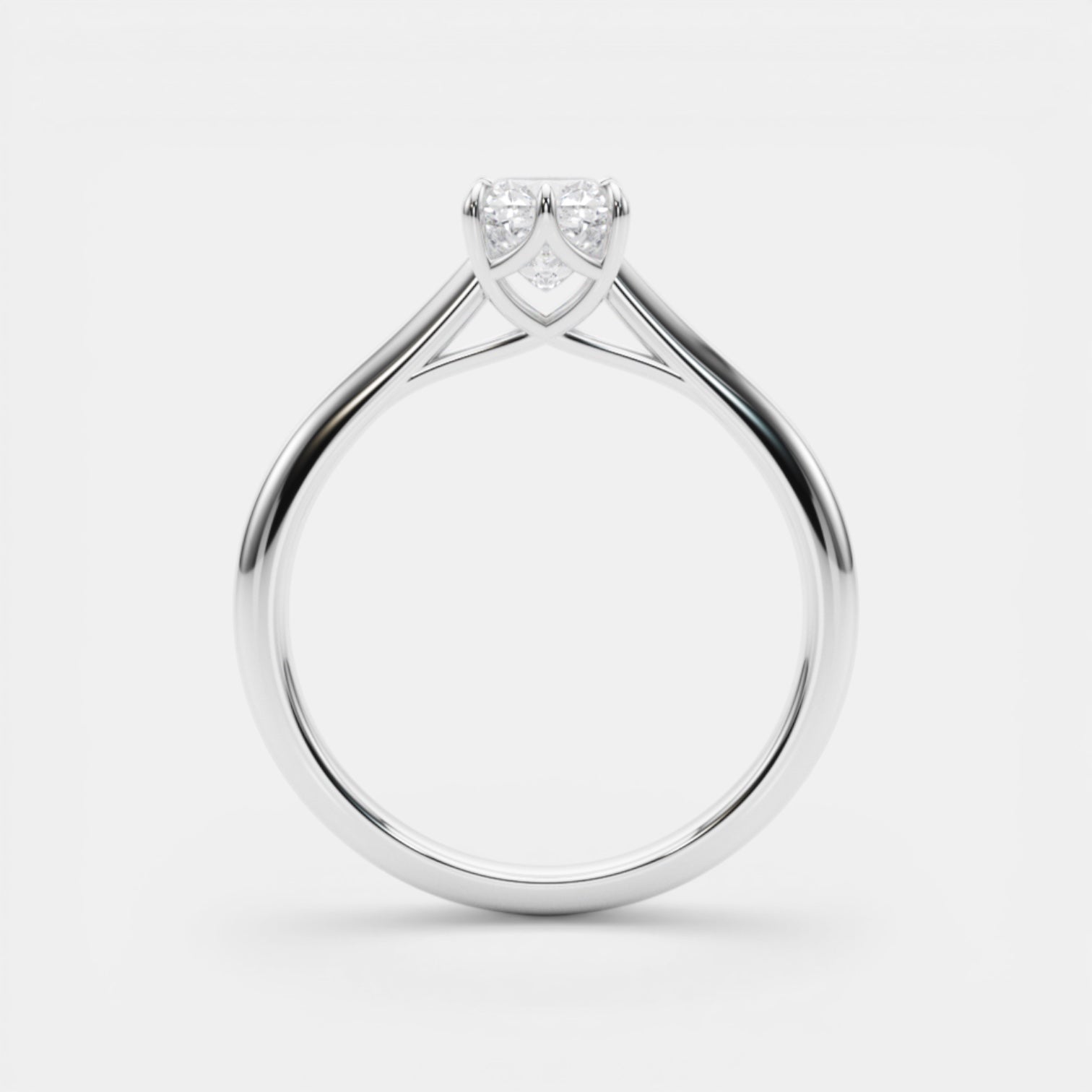 The TRIXIE Ring