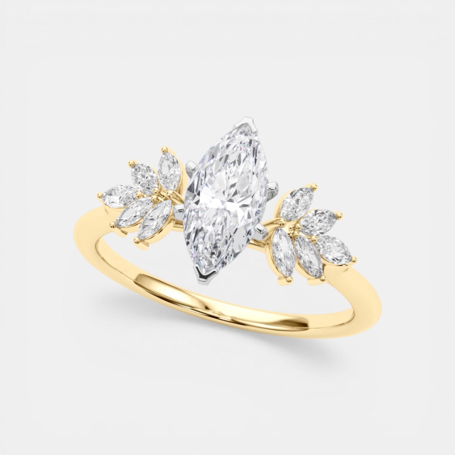The HEMERA Ring