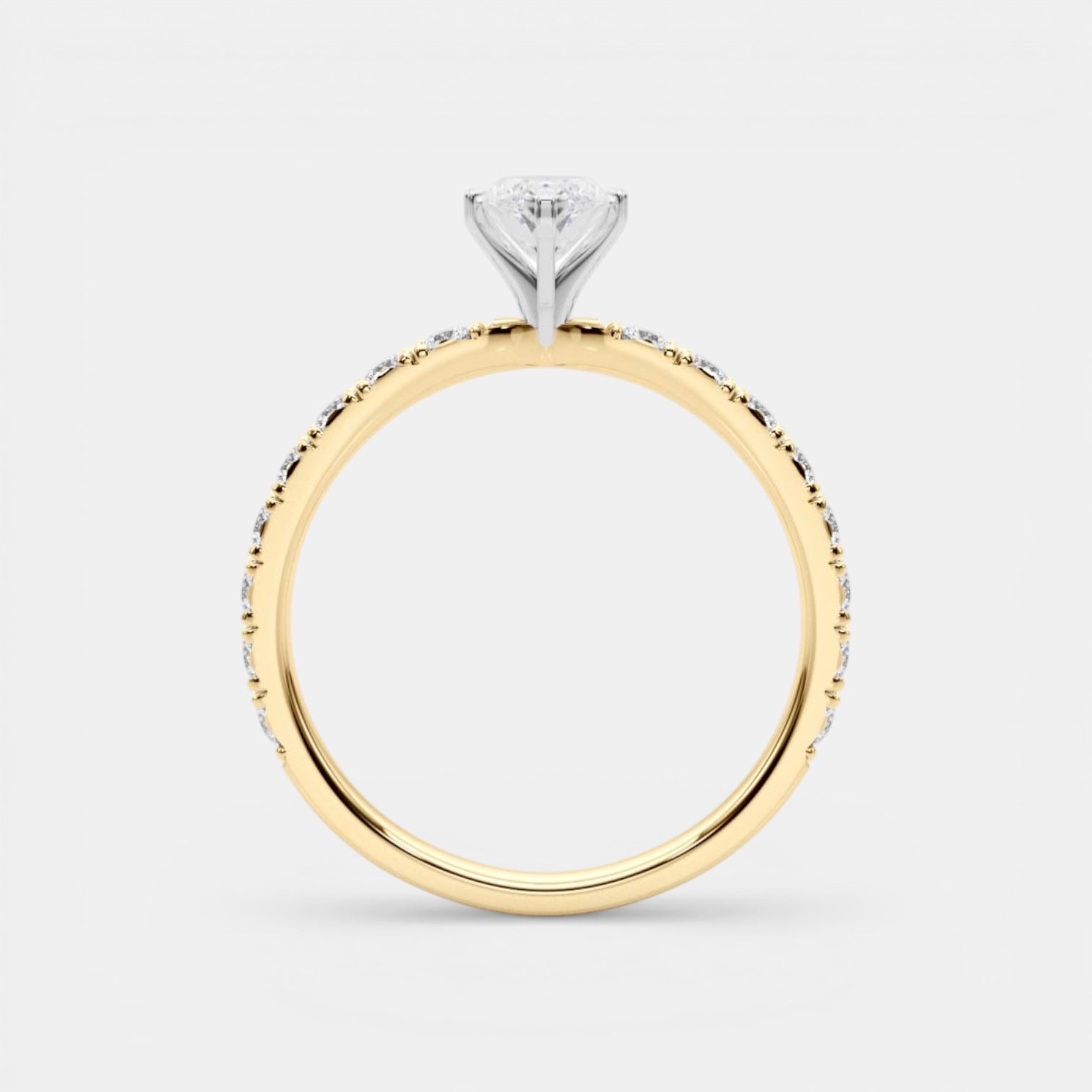 The MANHATTAN Ring