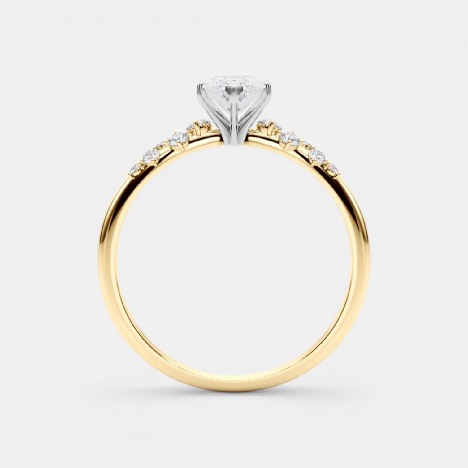 The ARIEL Ring