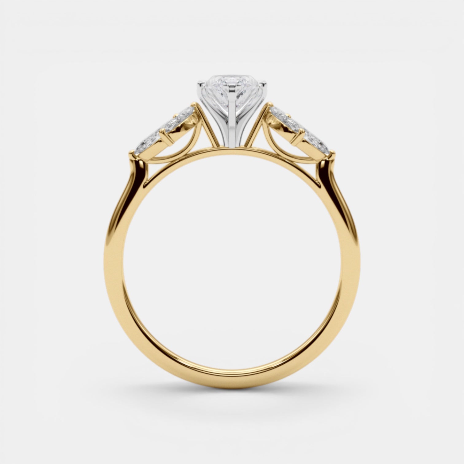 The ELECTRA Ring