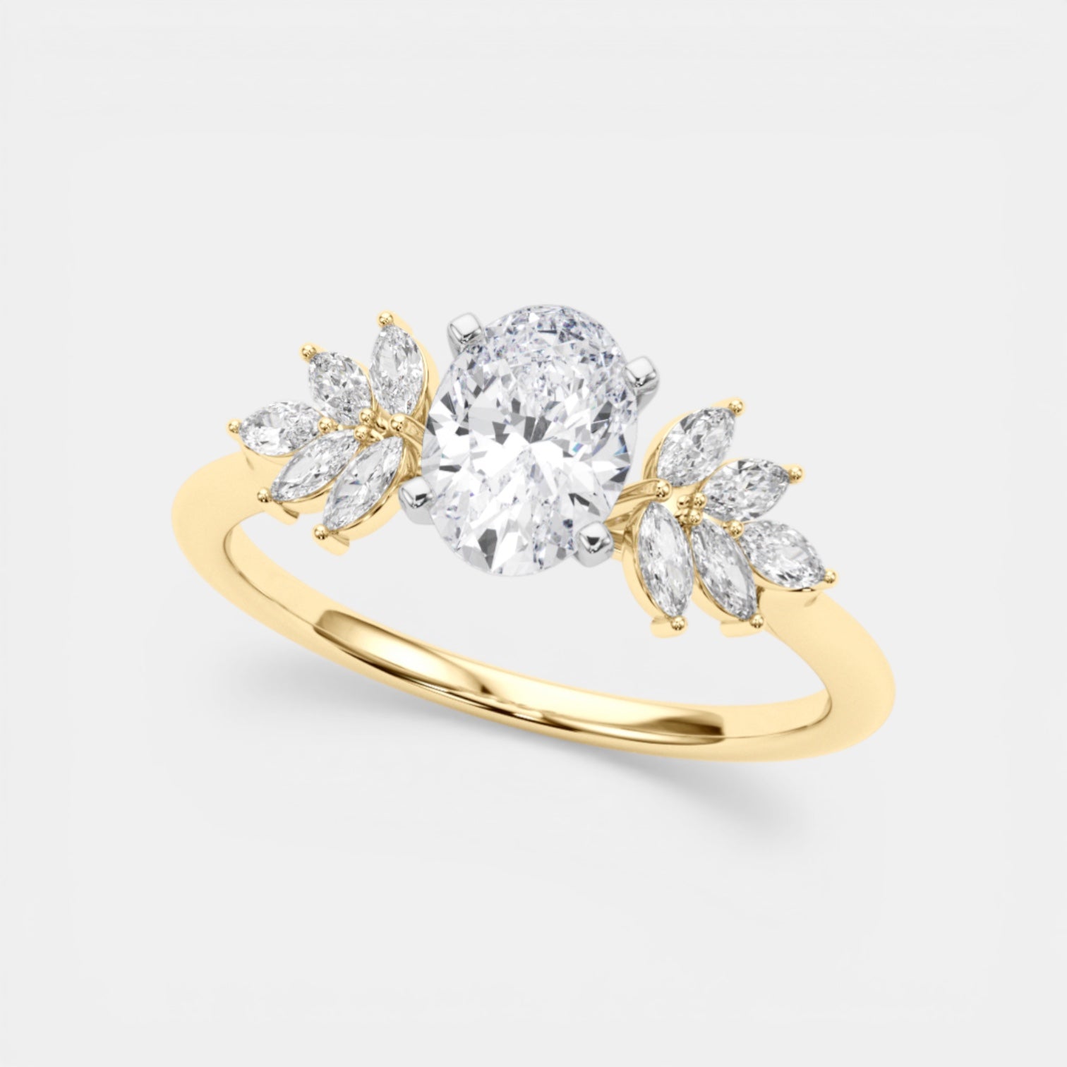 The HEMERA Ring