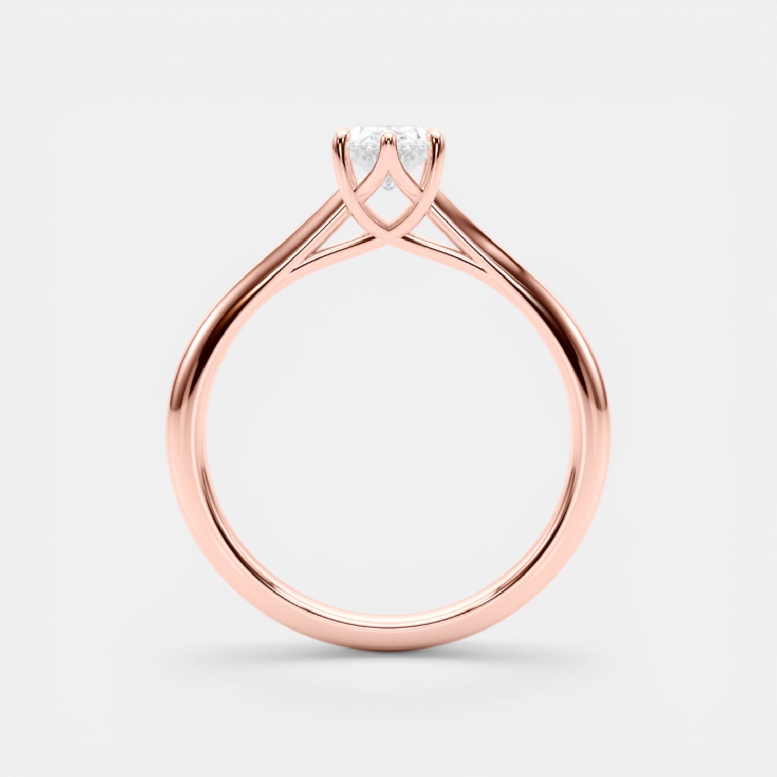 The TRIXIE Ring