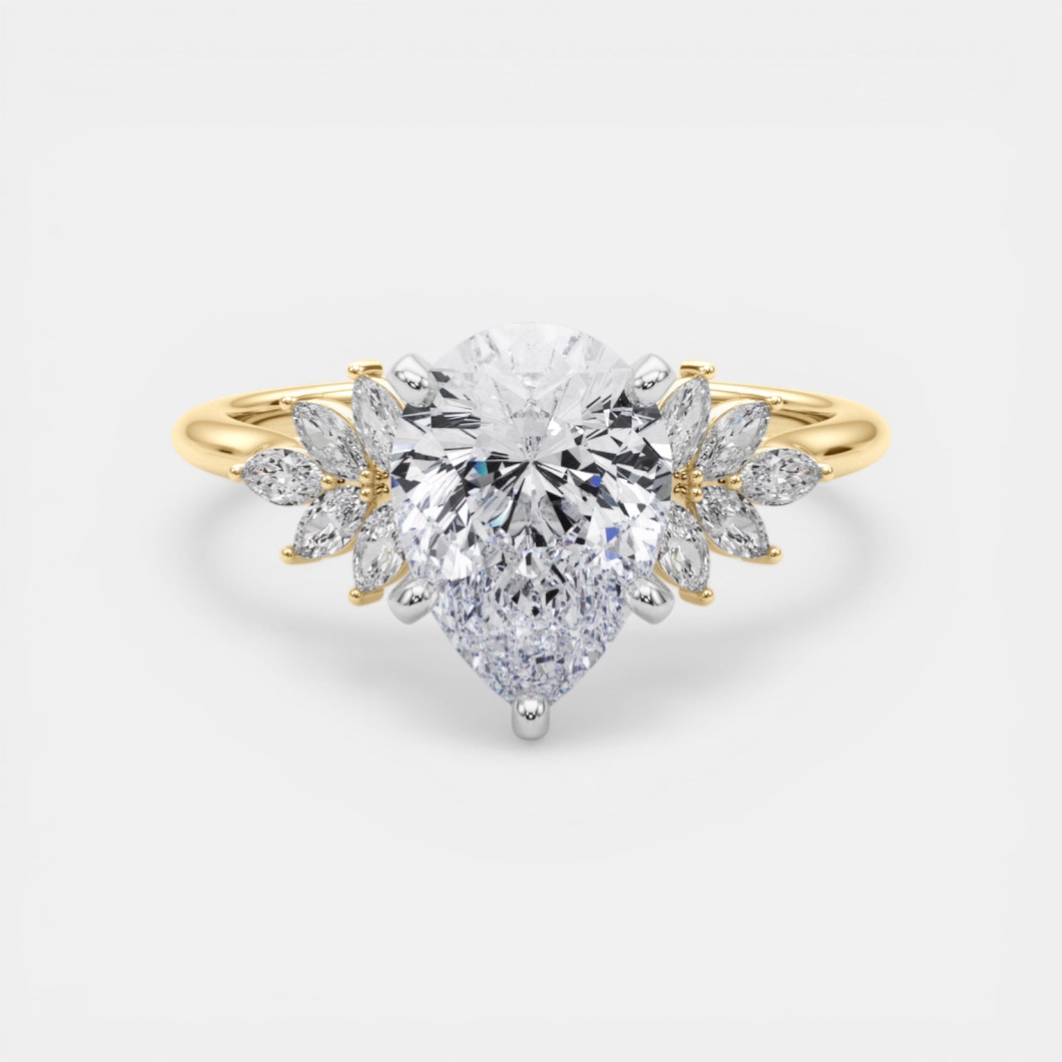 The HEMERA Ring
