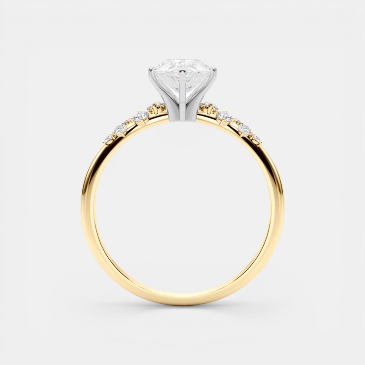 The ARIEL Ring