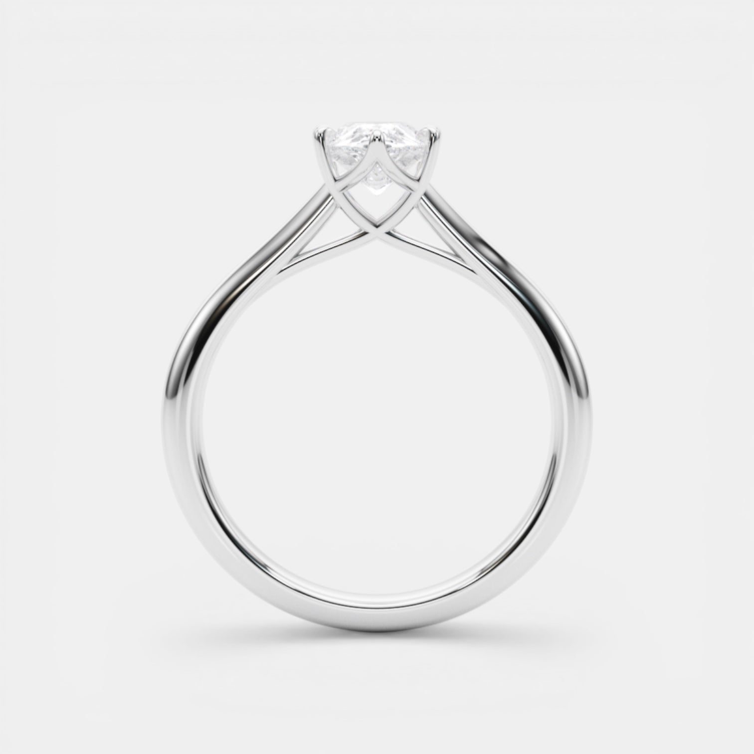The TRIXIE Ring