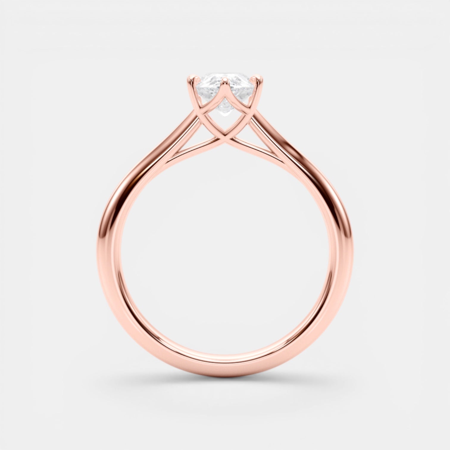 The TRIXIE Ring
