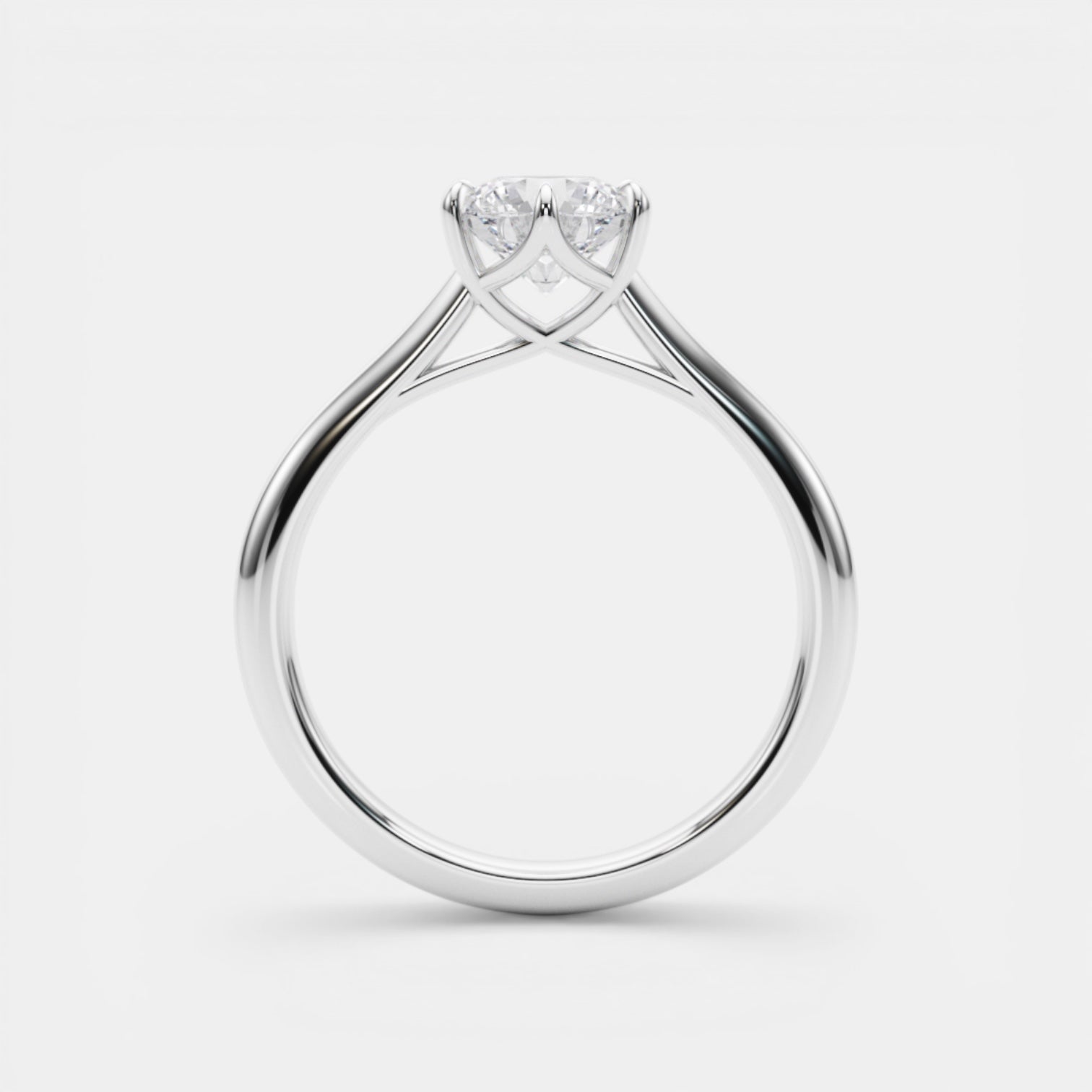 The TRIXIE Ring