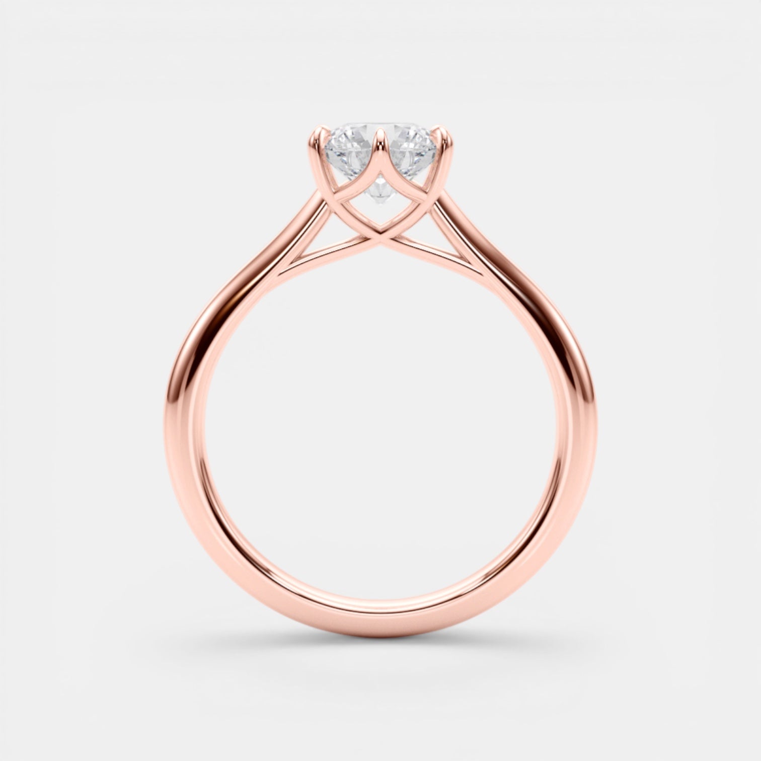 The TRIXIE Ring