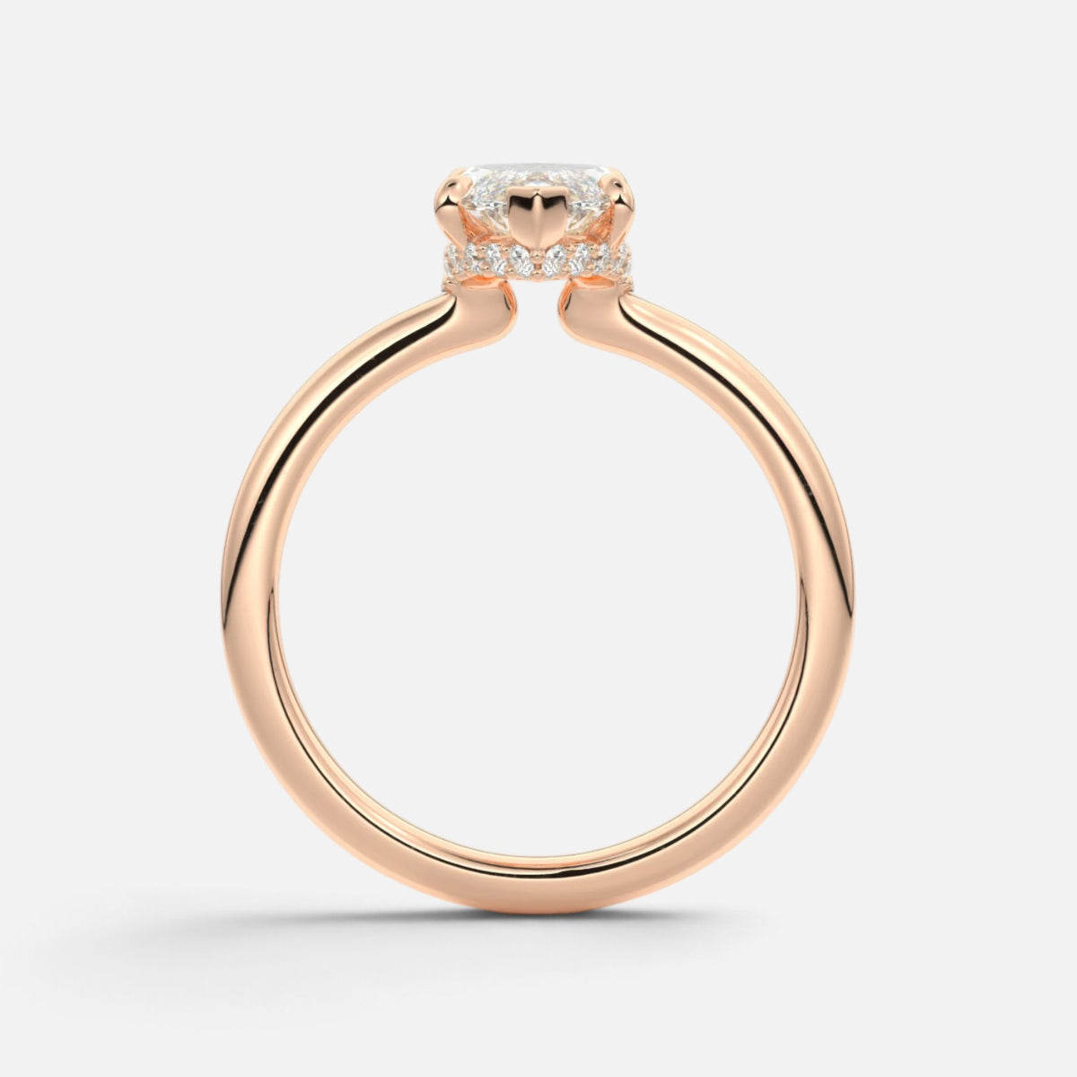The ROSALIE Ring