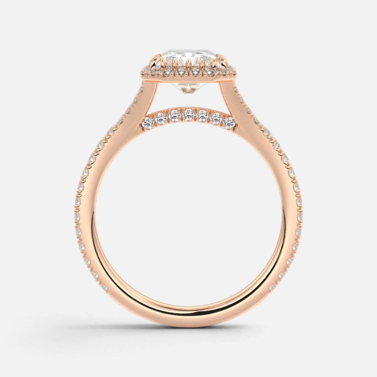 The ELMA Ring