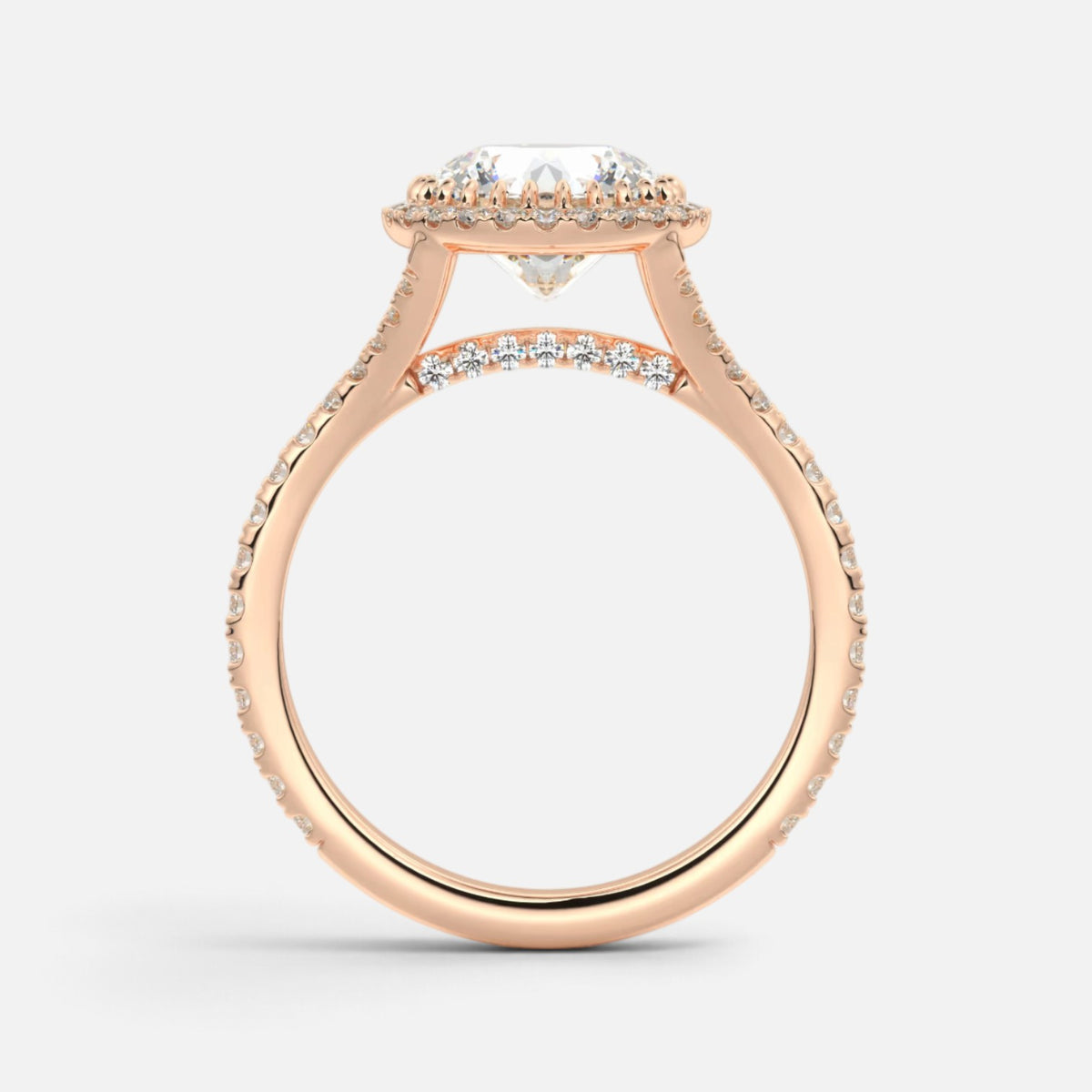 The ELMA Ring