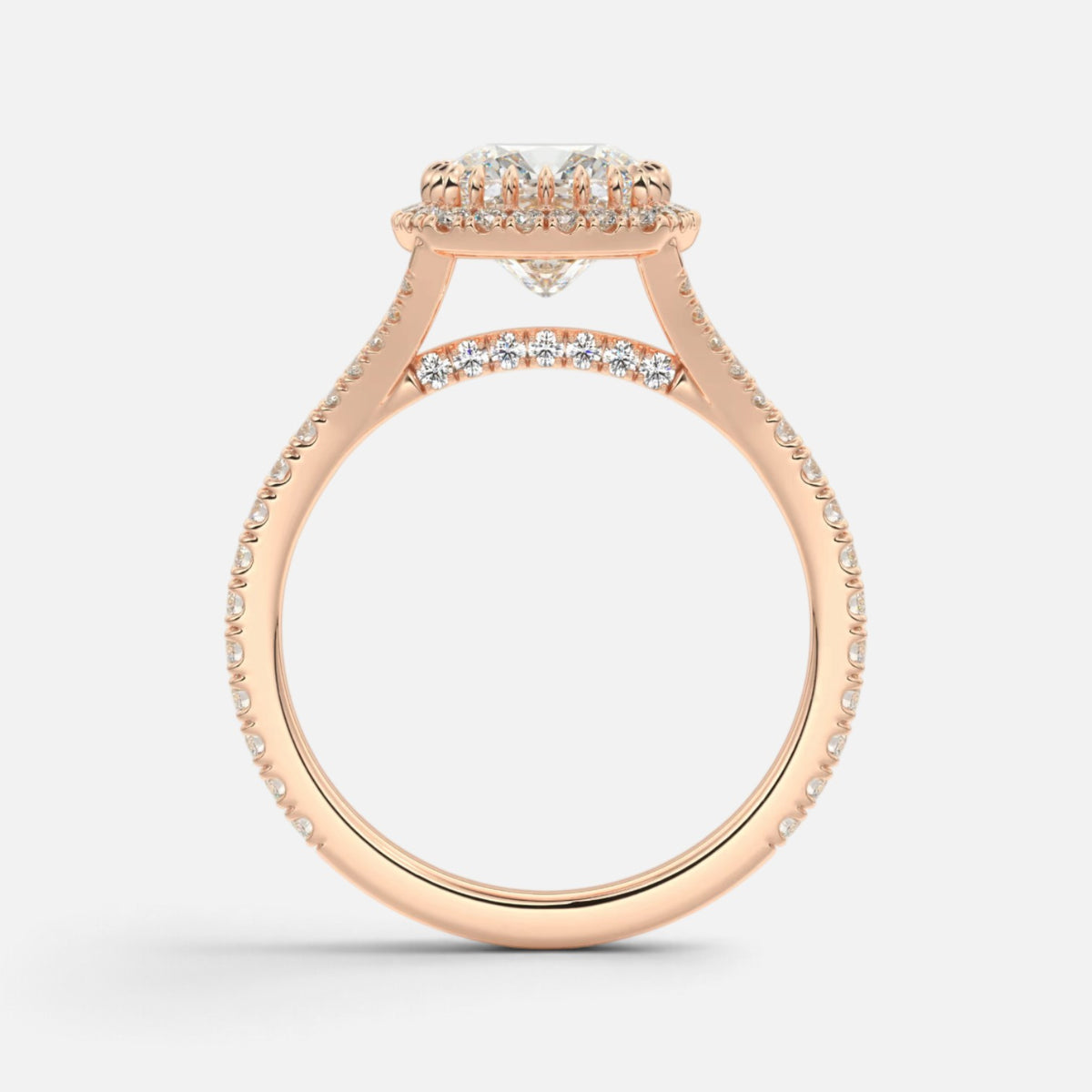The ELMA Ring