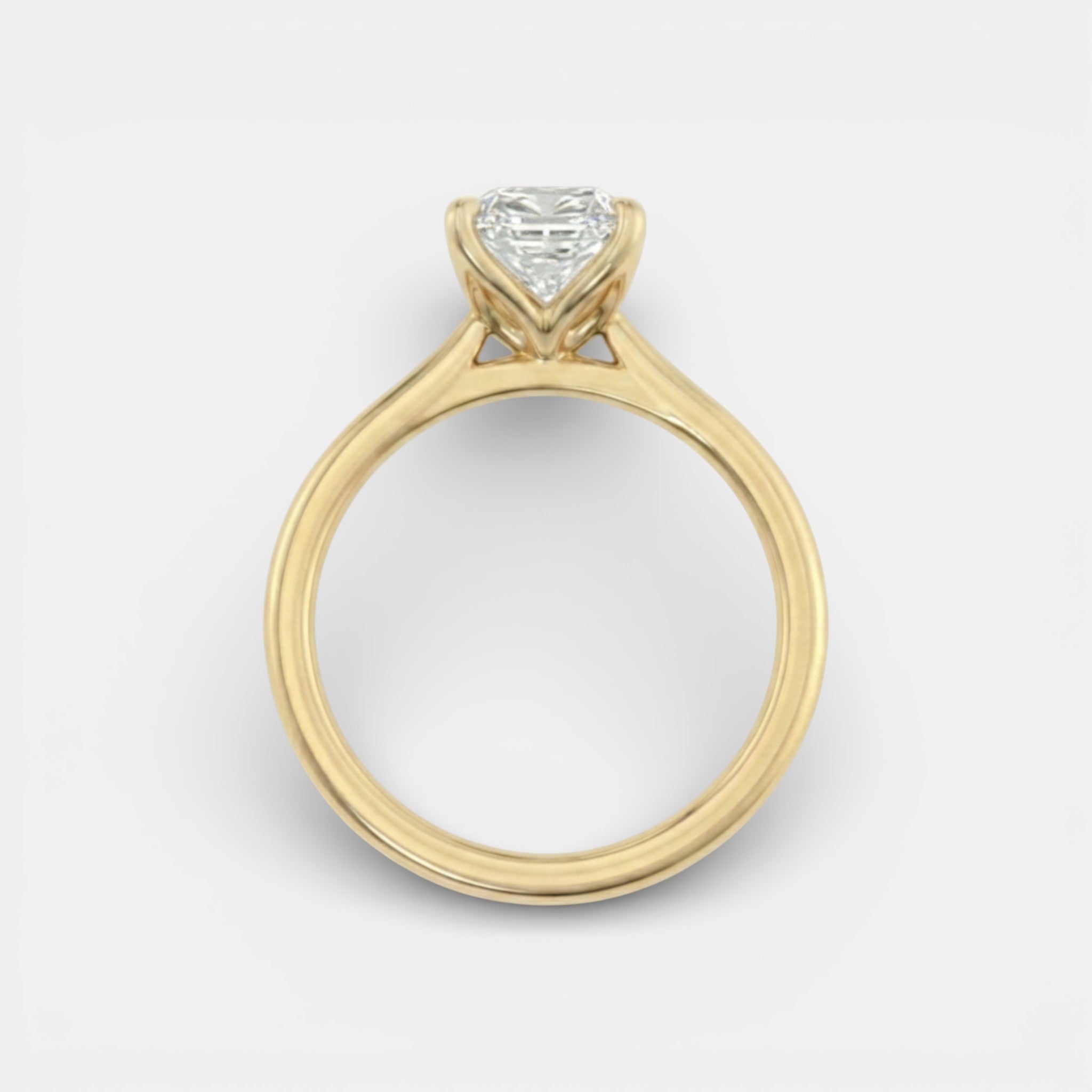 the LUNA Ring - 4 prong