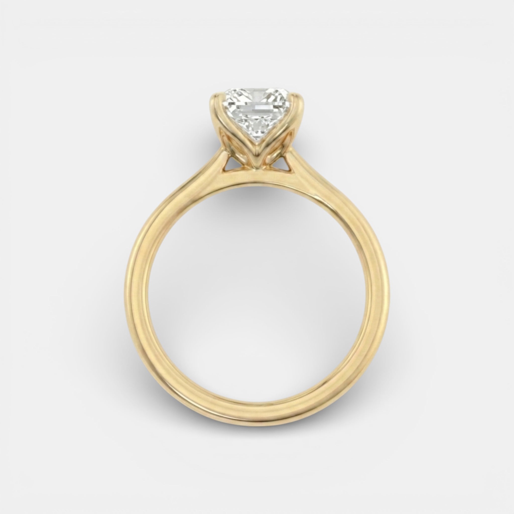 the LUNA Ring - 4 prong