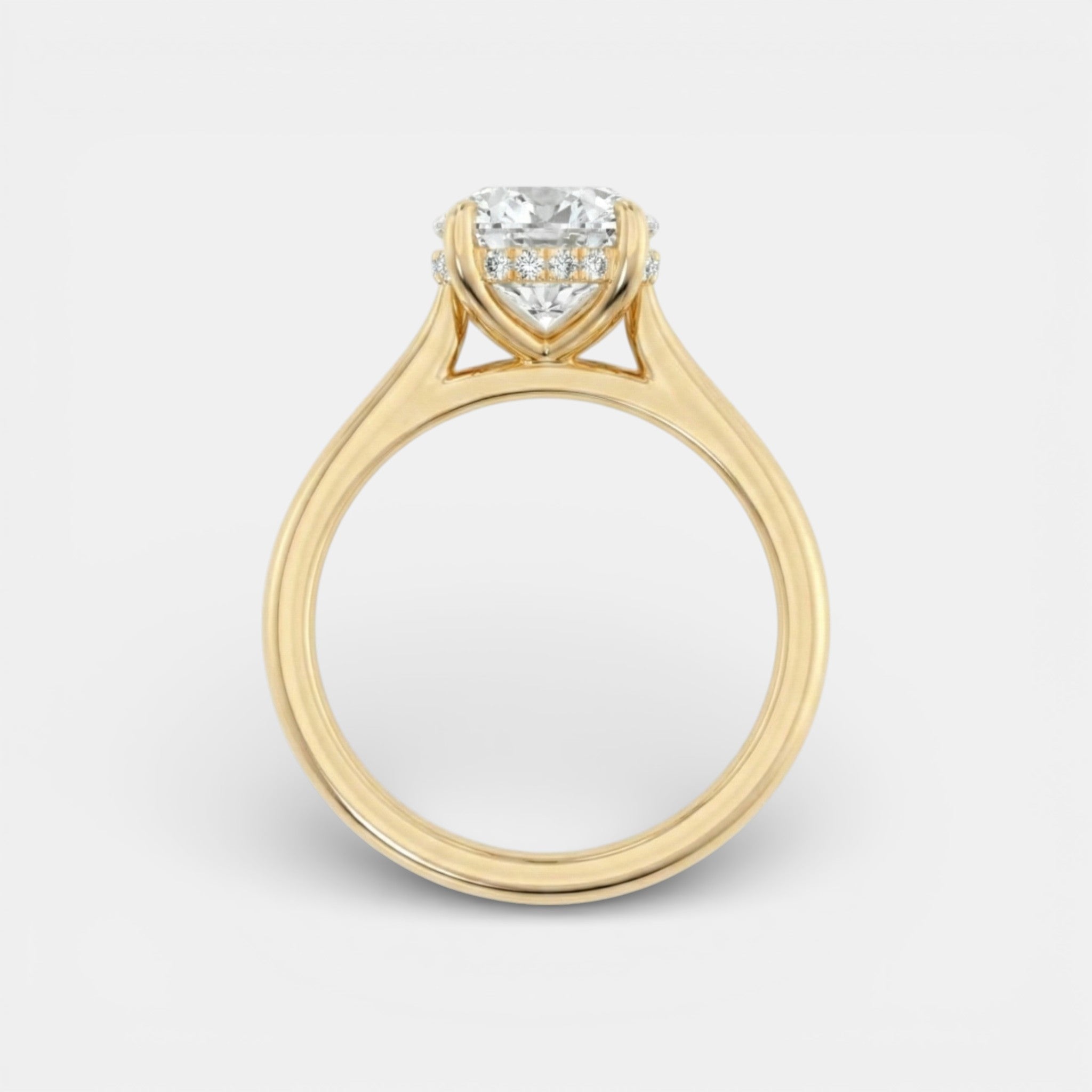 the NAOMI Ring