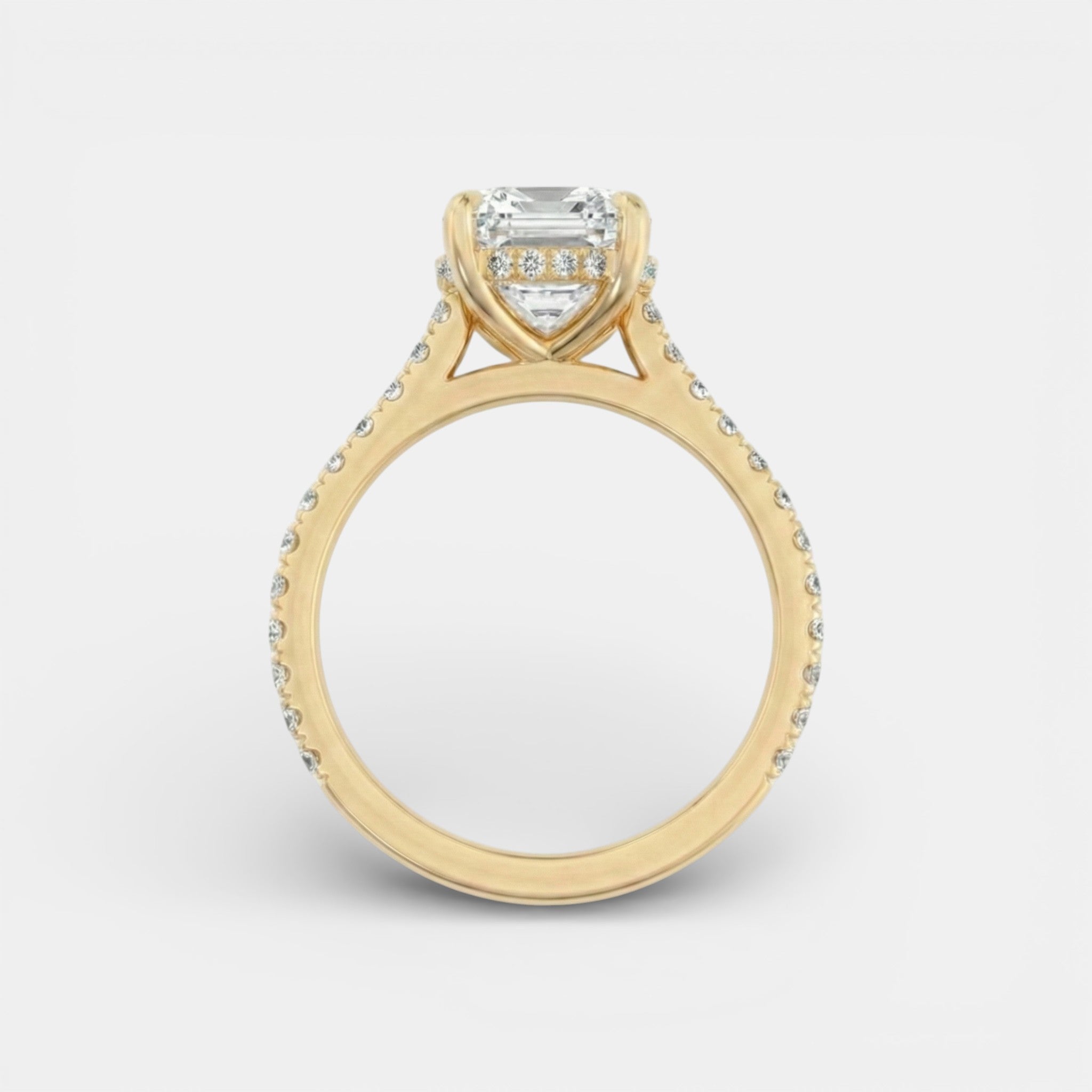 the PARIS Ring