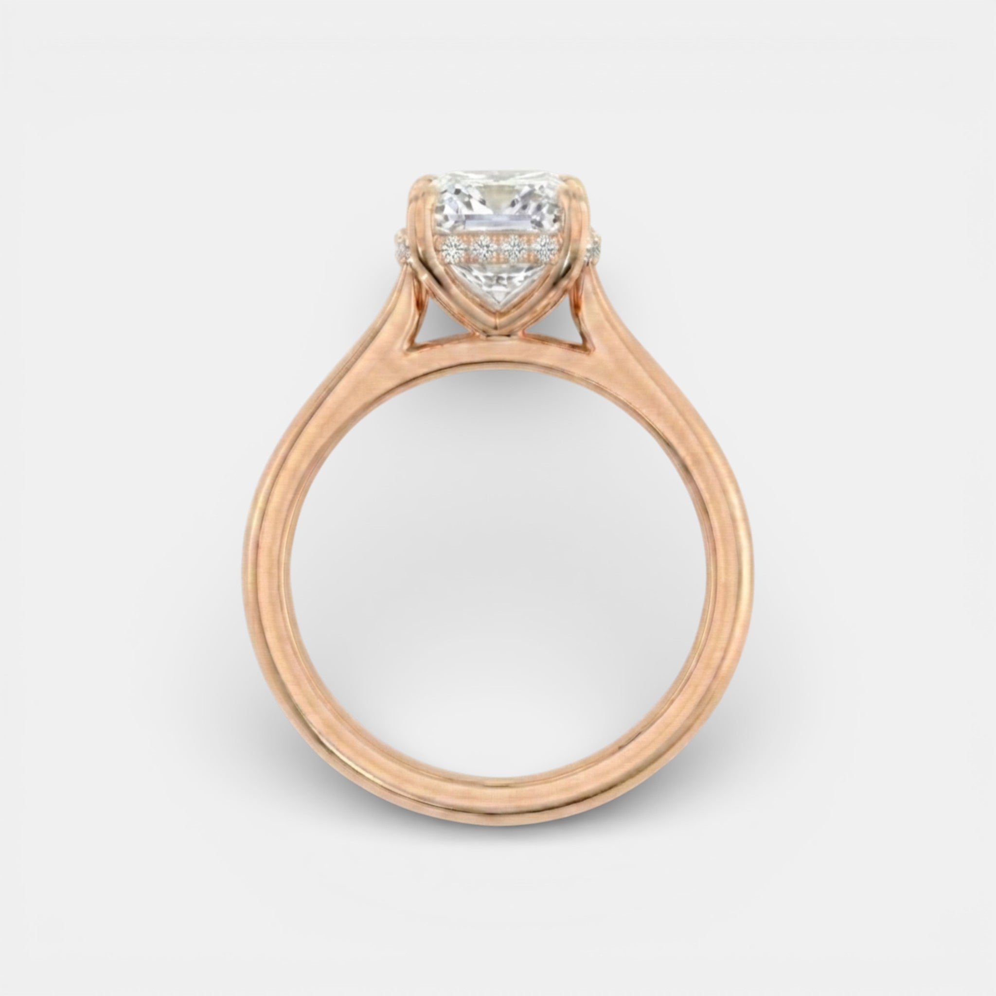 the NAOMI Ring