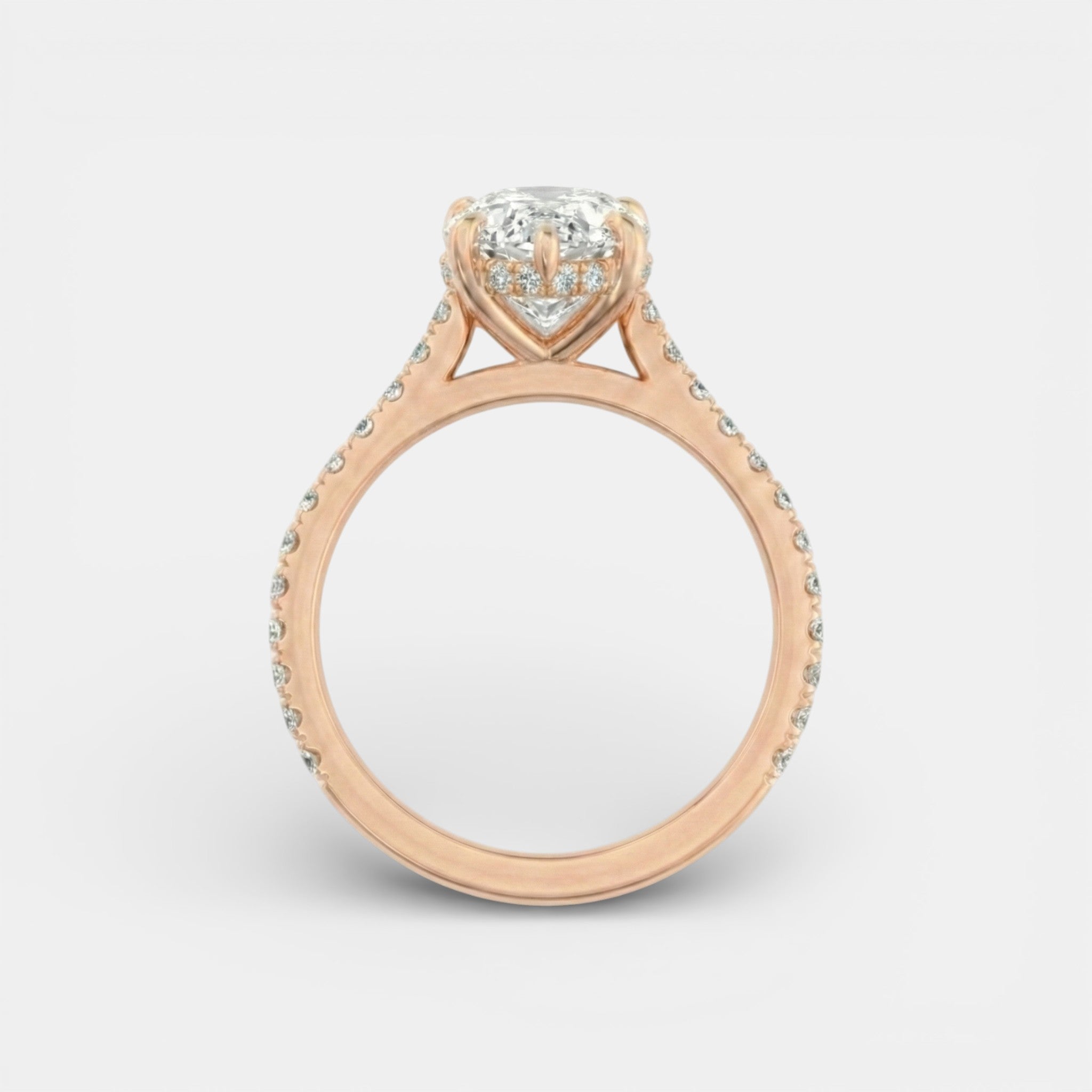 the PARIS Ring