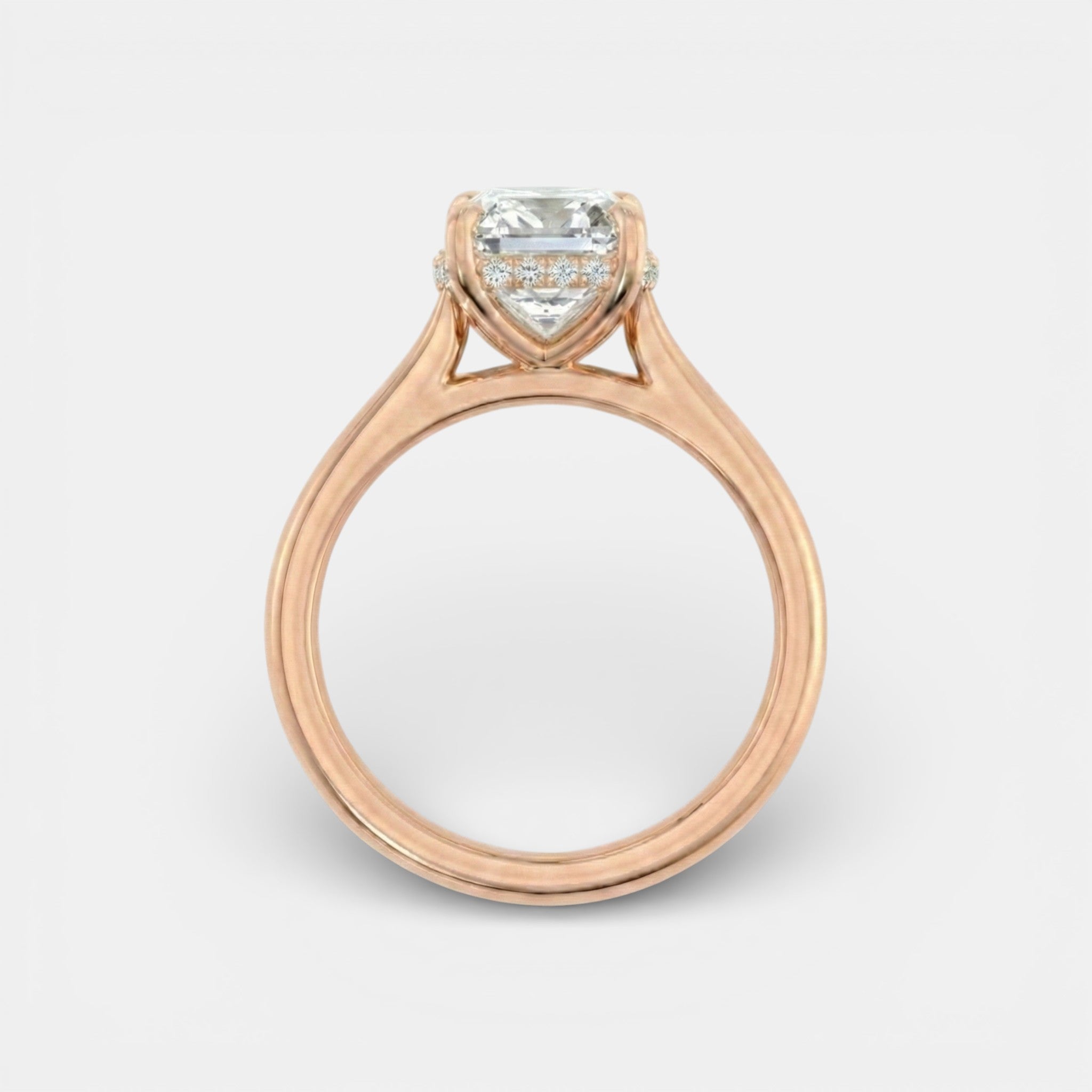 the NAOMI Ring