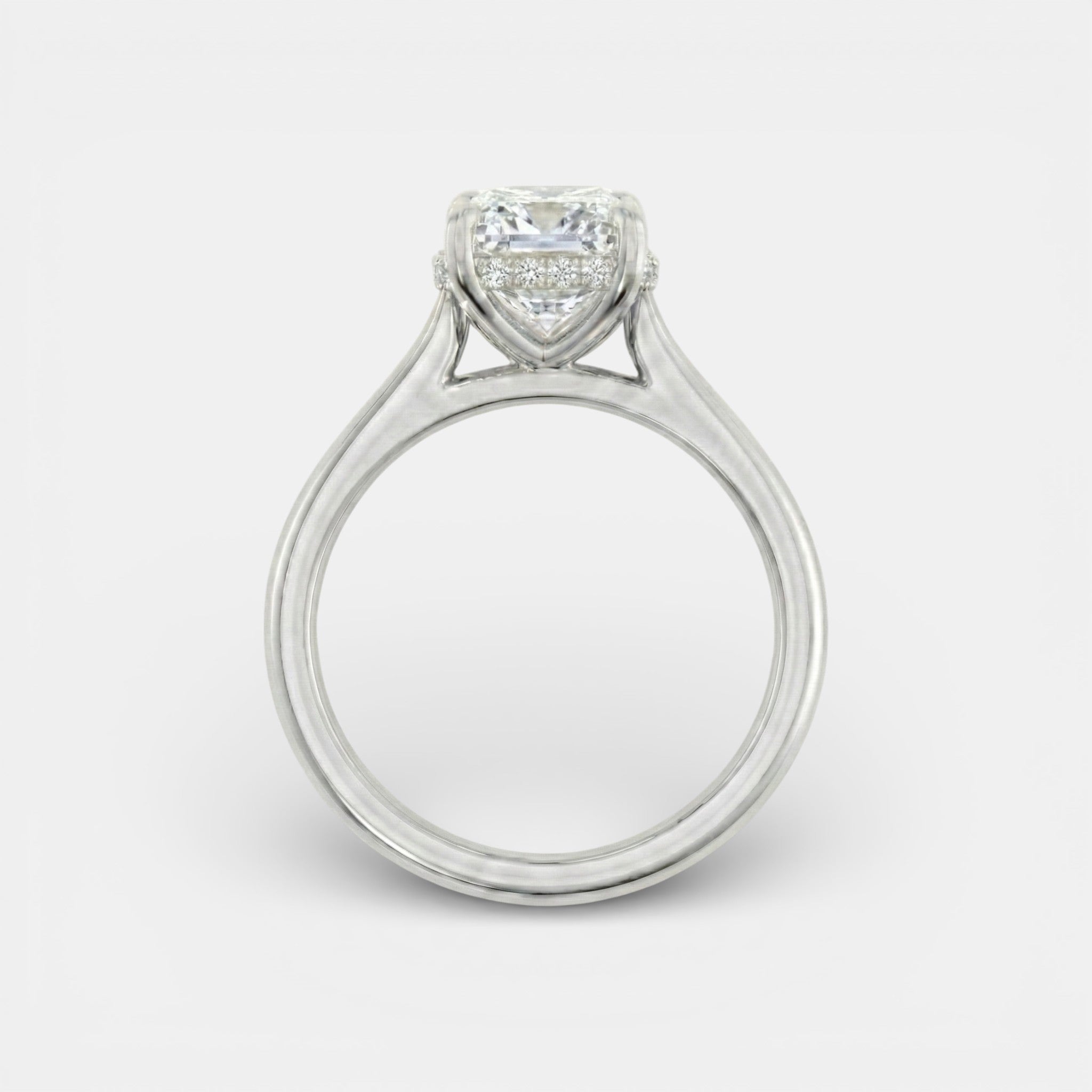the NAOMI Ring