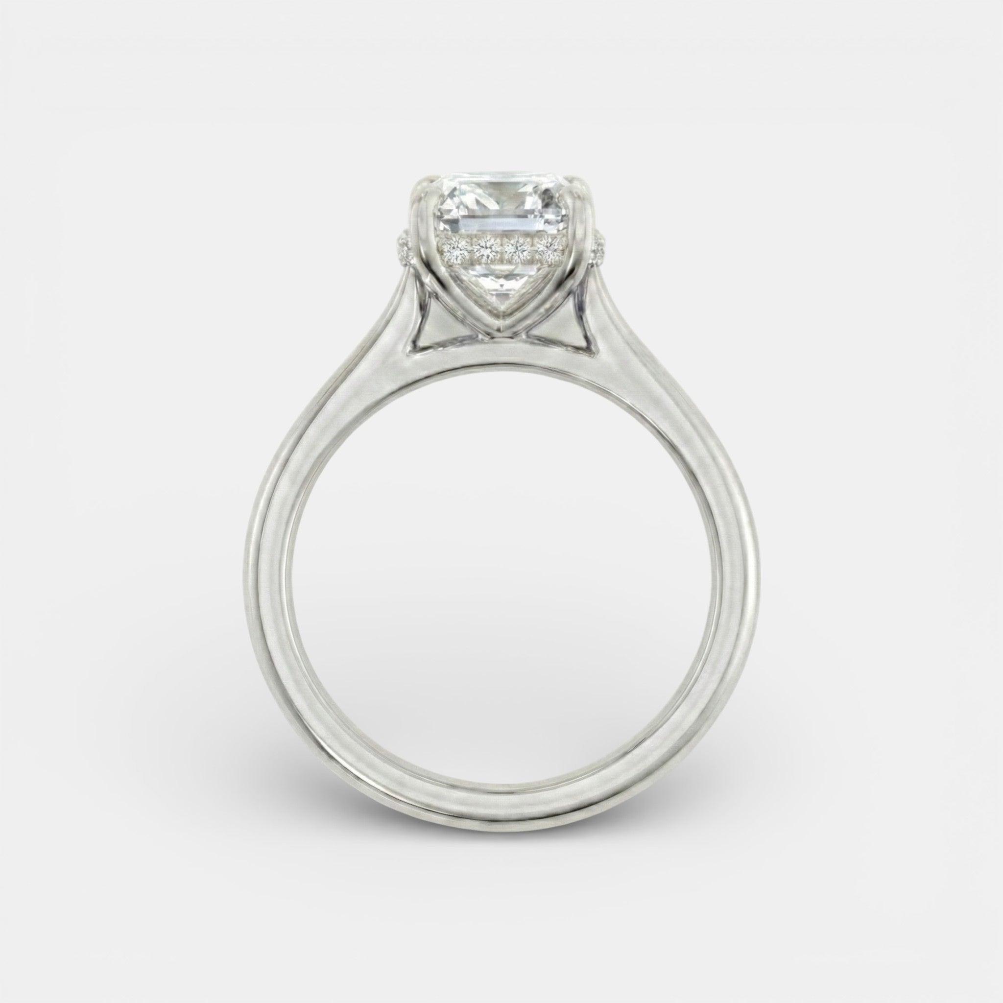 the NAOMI Ring