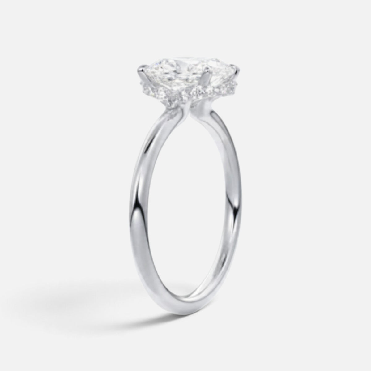 The ROSALIE Ring