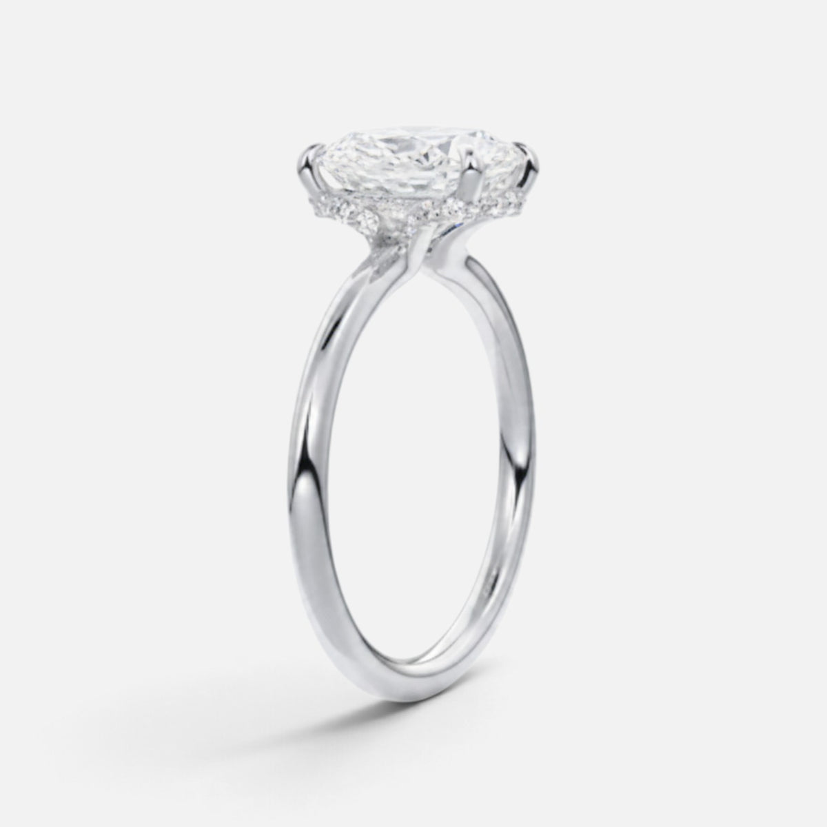 The ROSALIE Ring