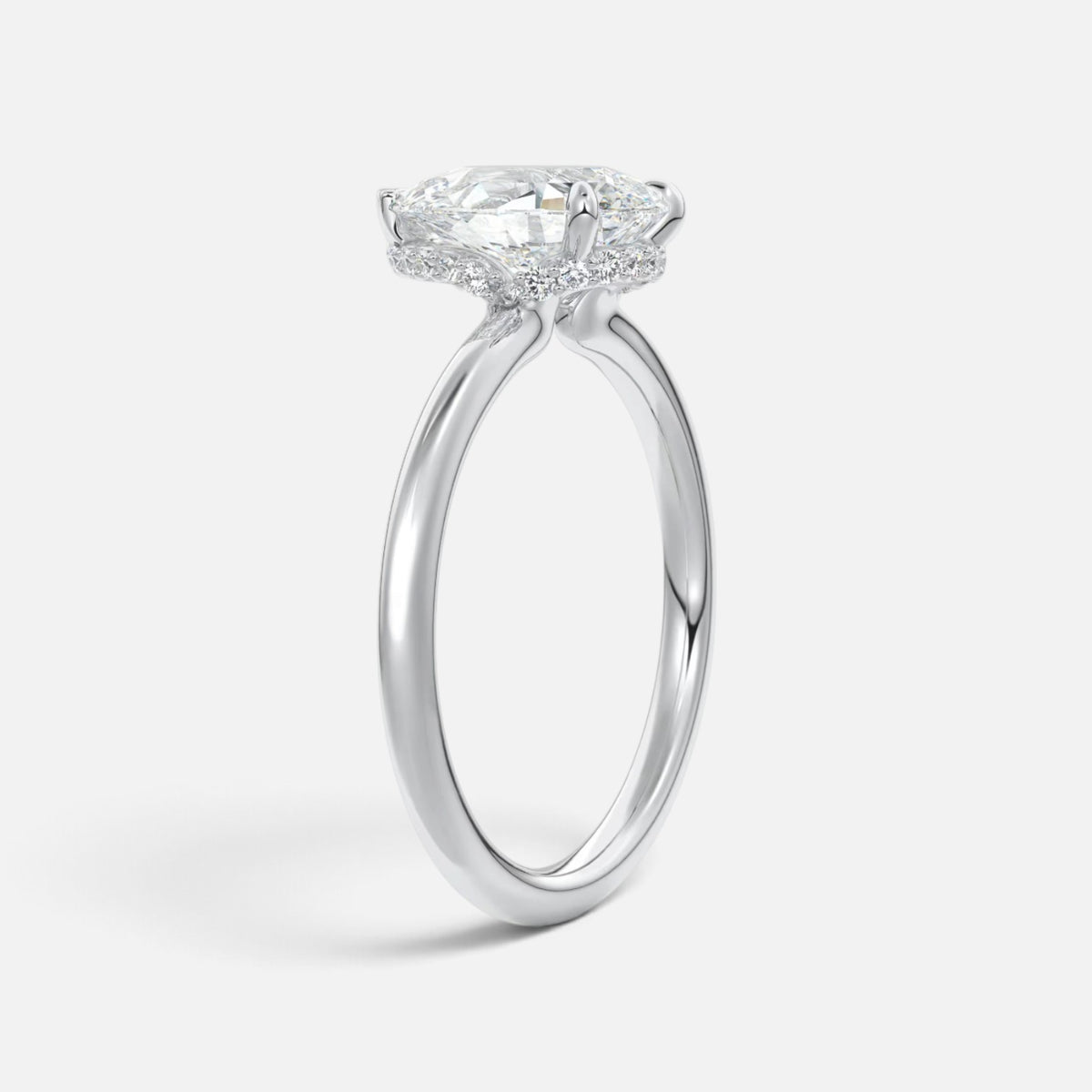The ROSALIE Ring