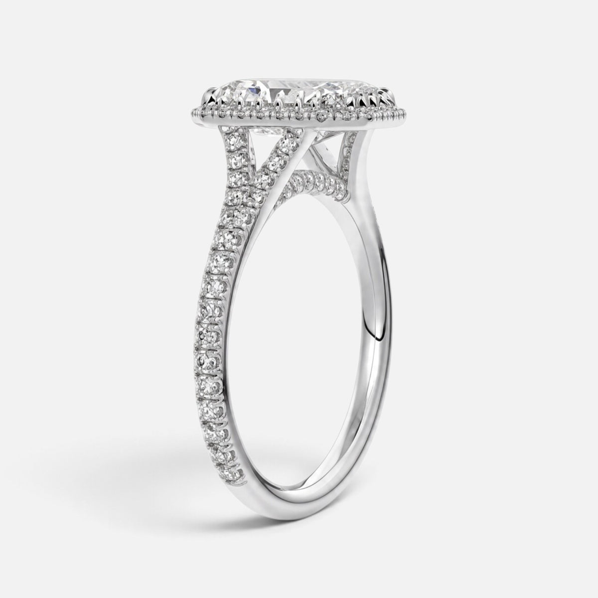 The ELMA Ring