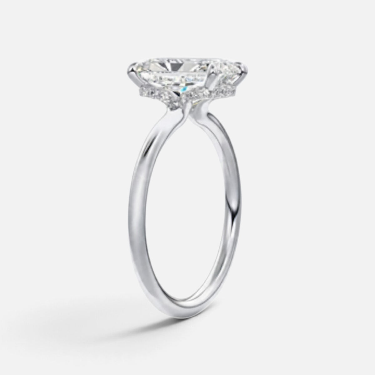The ROSALIE Ring