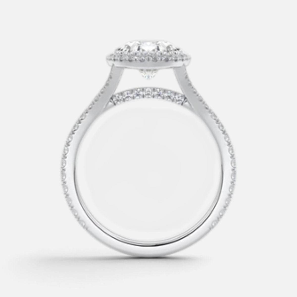 The ELMA Ring