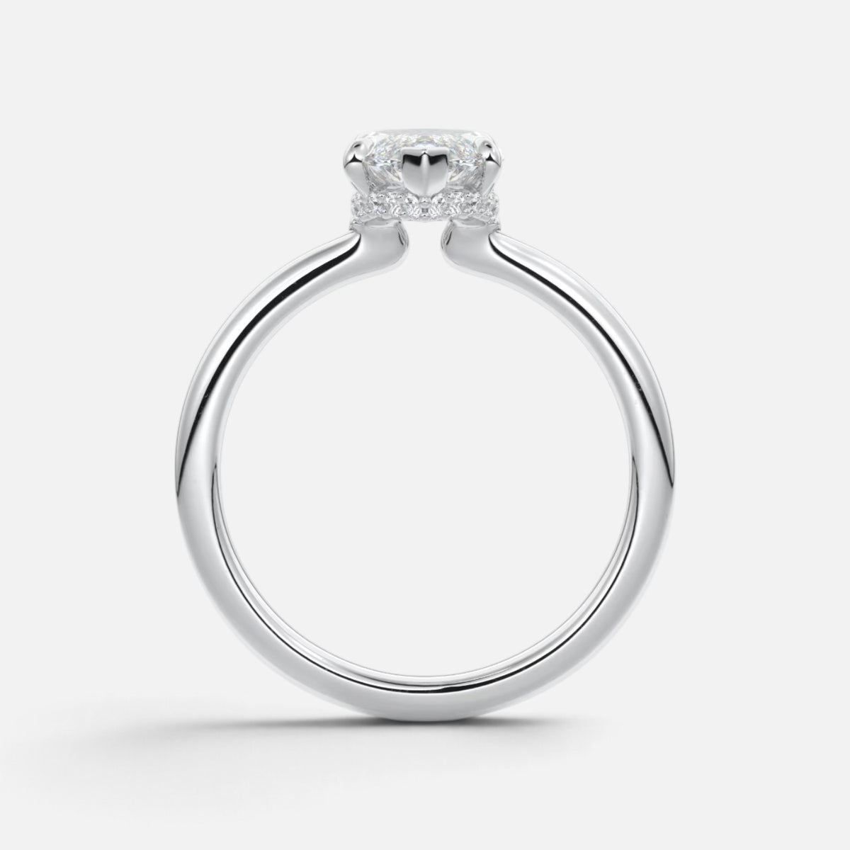 The ROSALIE Ring