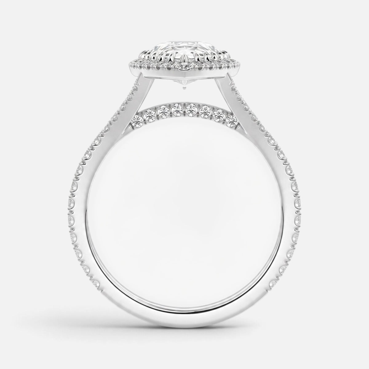 The ELMA Ring