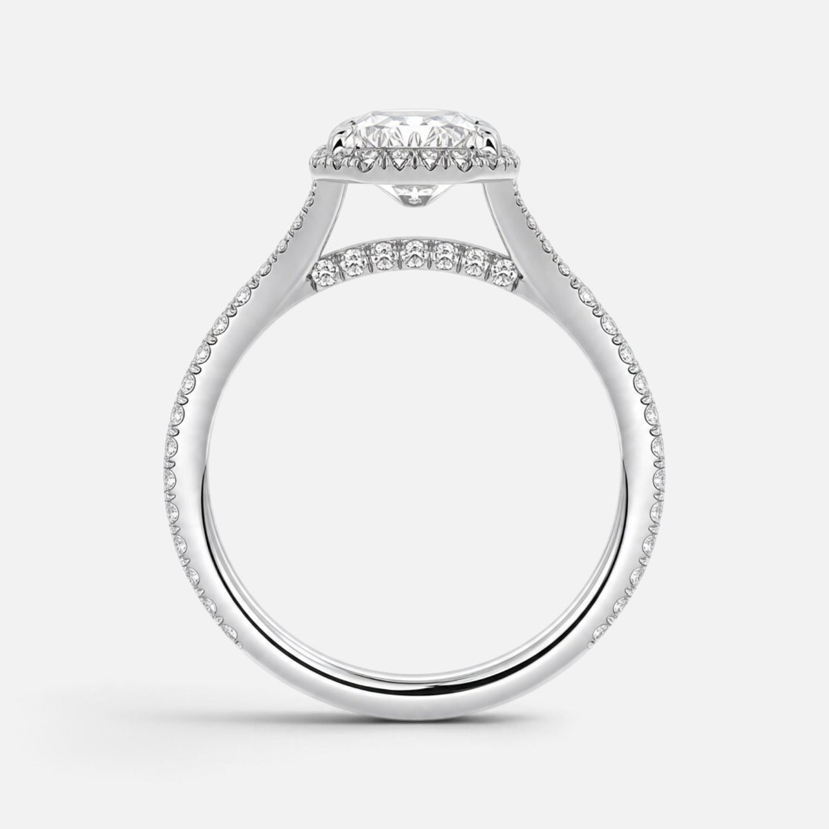 The ELMA Ring