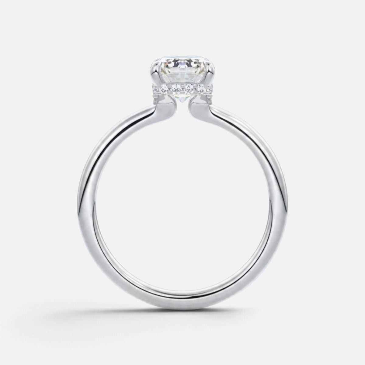 The ROSALIE Ring