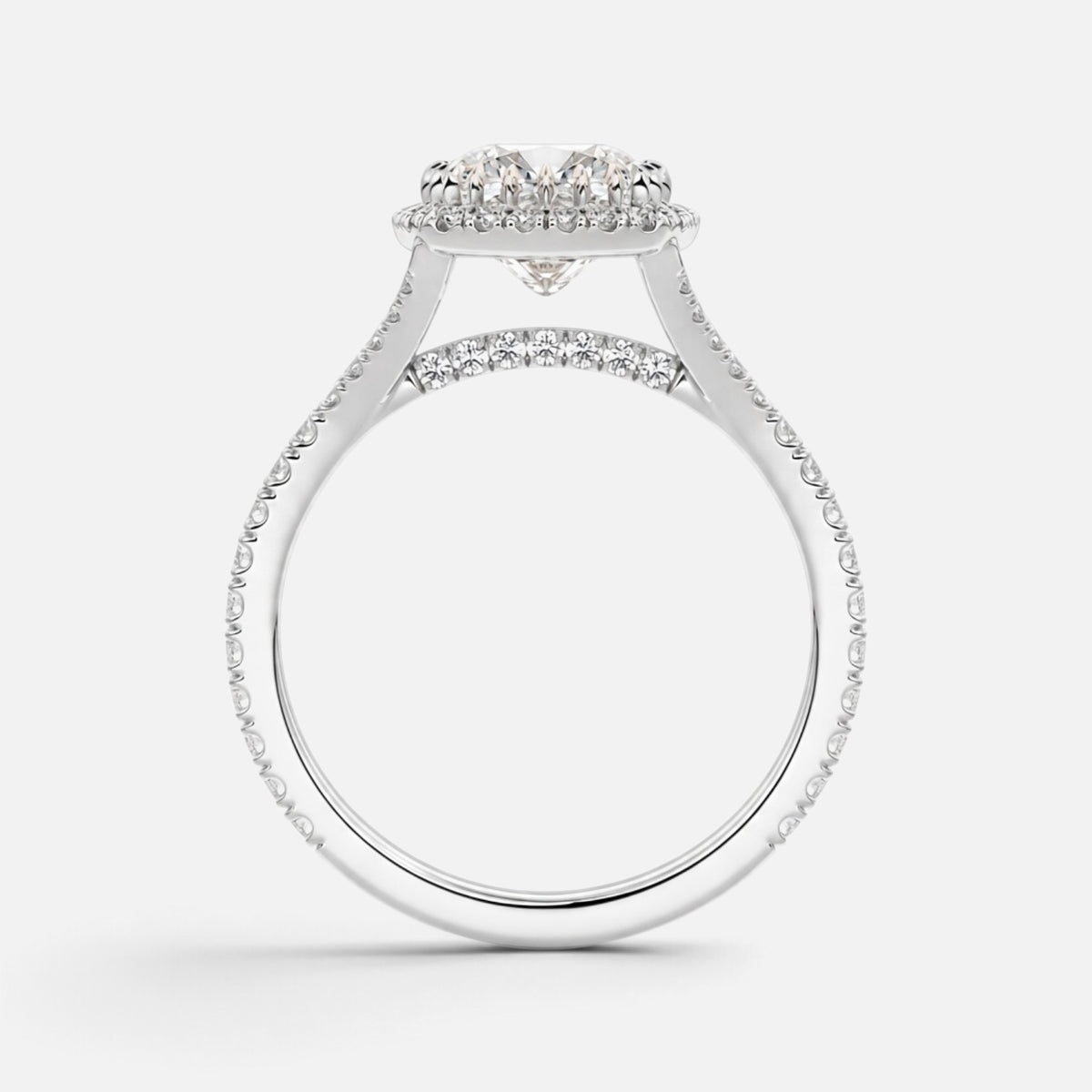 The ELMA Ring