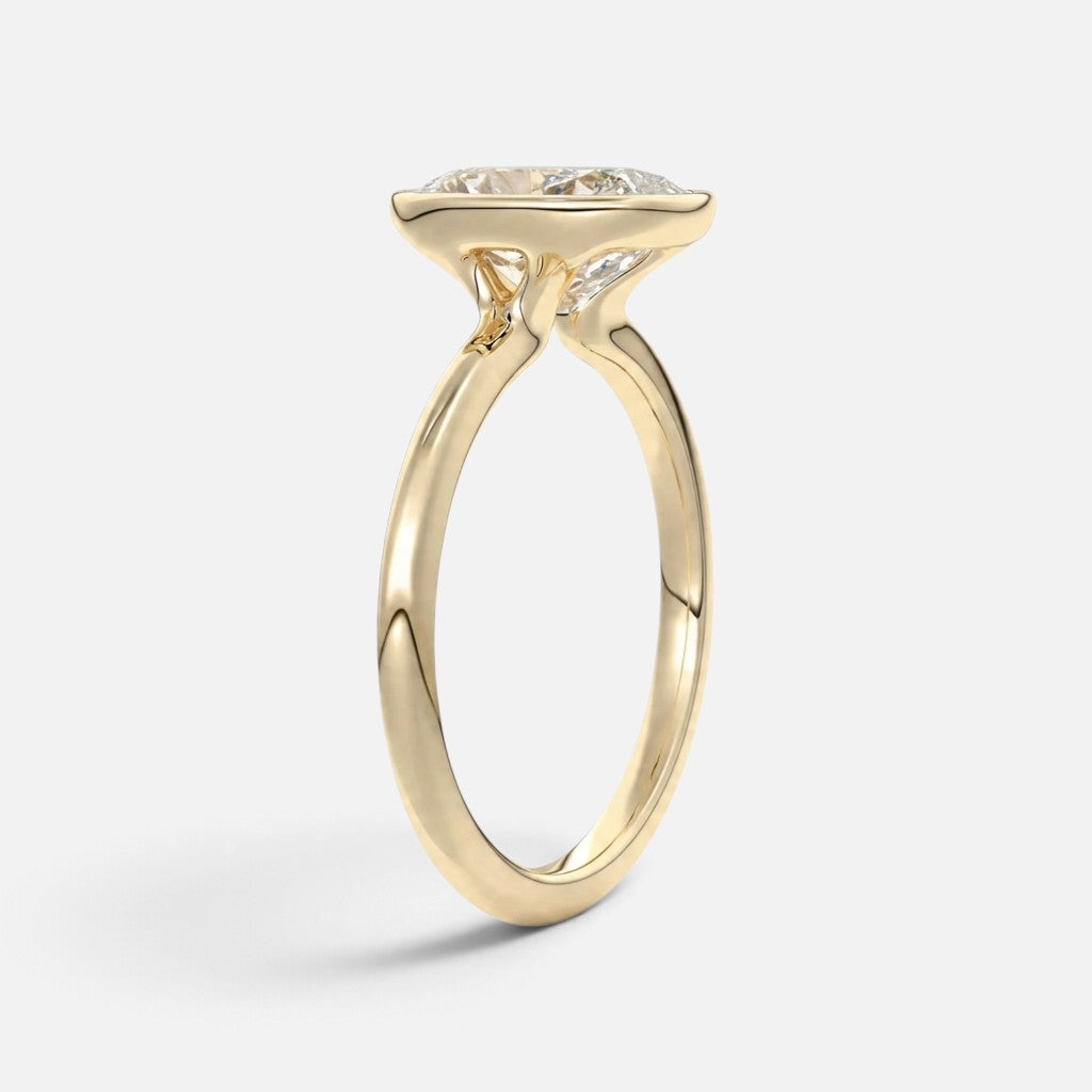 The COLETTE Ring