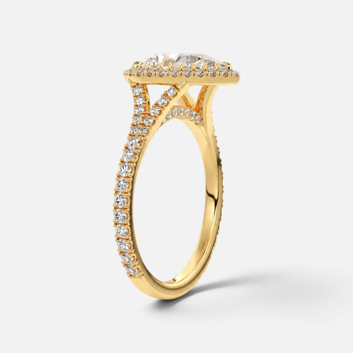 The ELMA Ring