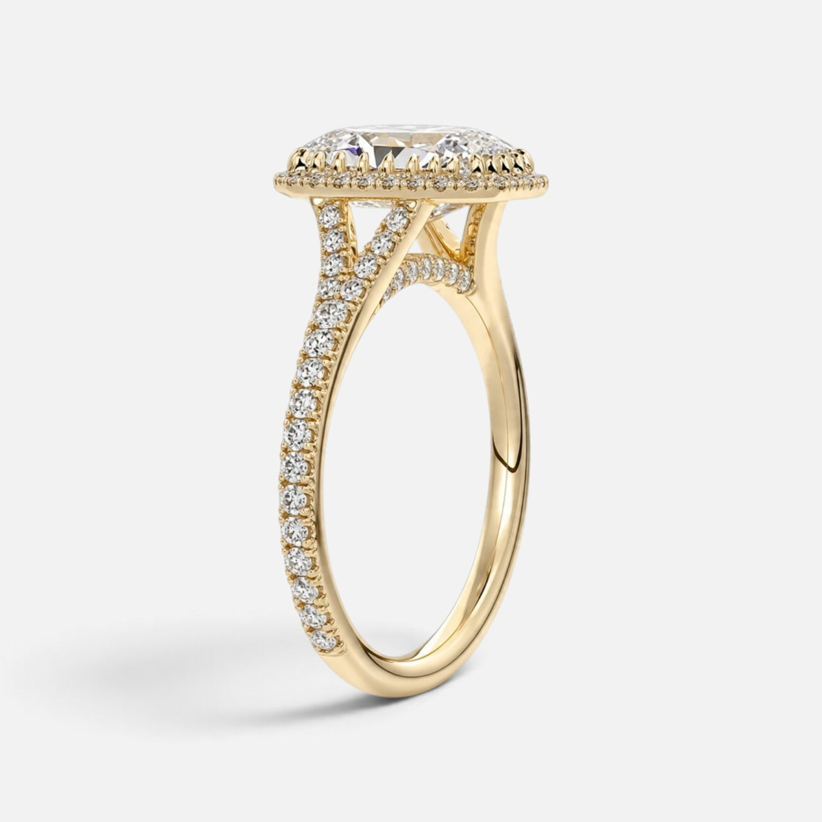 The ELMA Ring