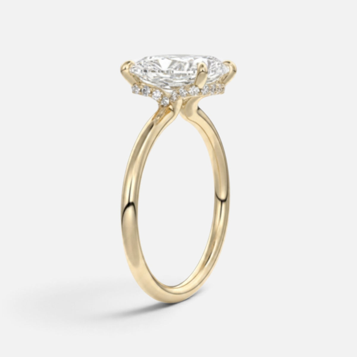 The ROSALIE Ring
