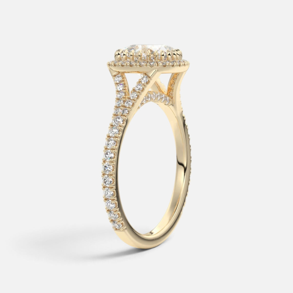 The ELMA Ring