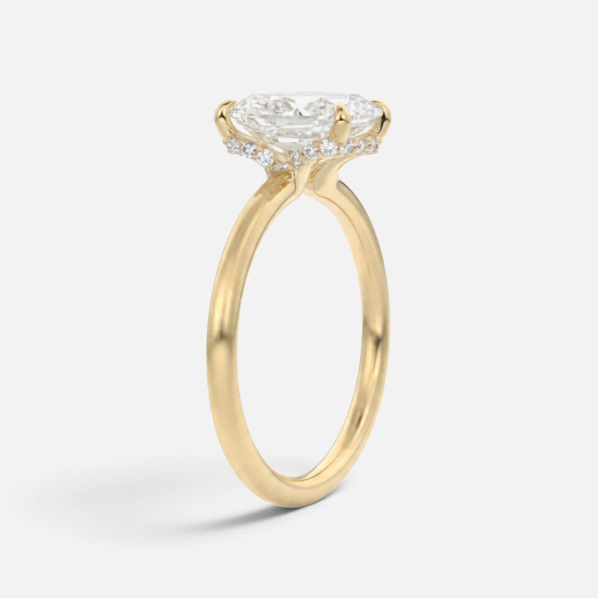 The ROSALIE Ring