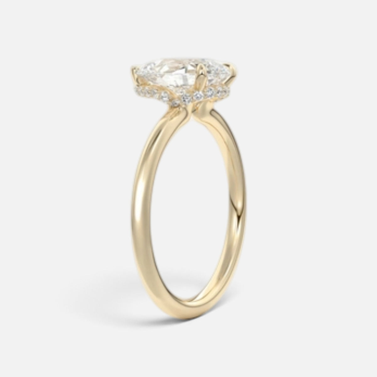 The ROSALIE Ring
