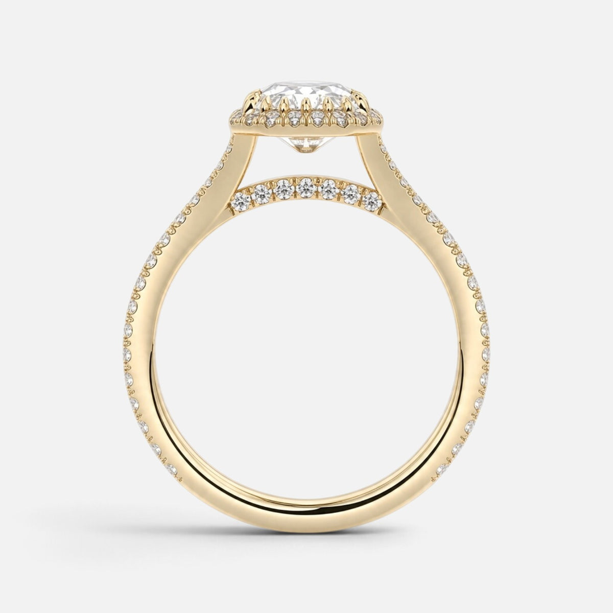 The ELMA Ring