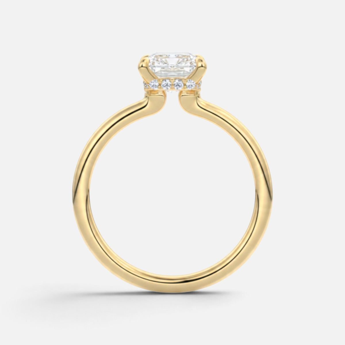 The ROSALIE Ring