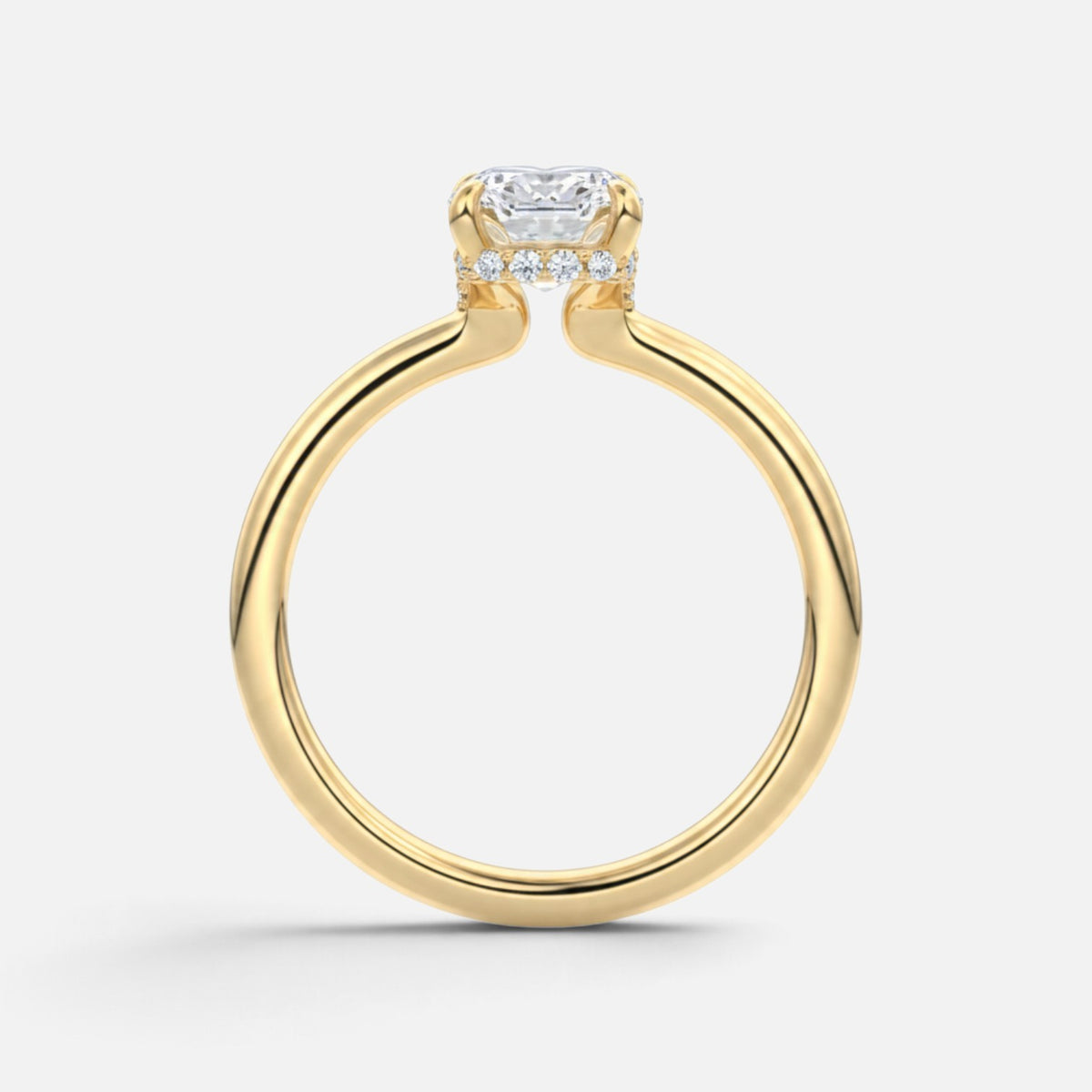 The ROSALIE Ring