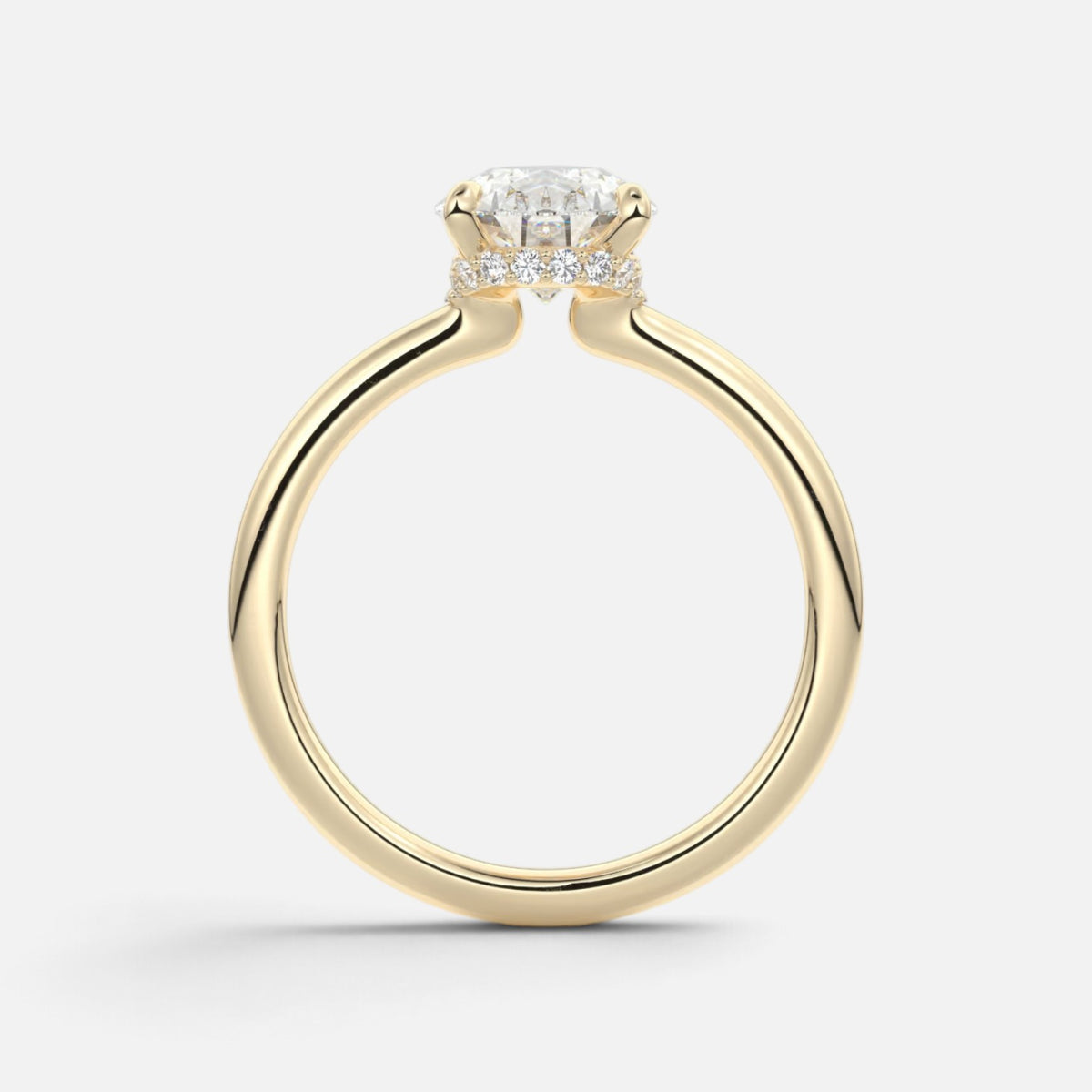 The ROSALIE Ring