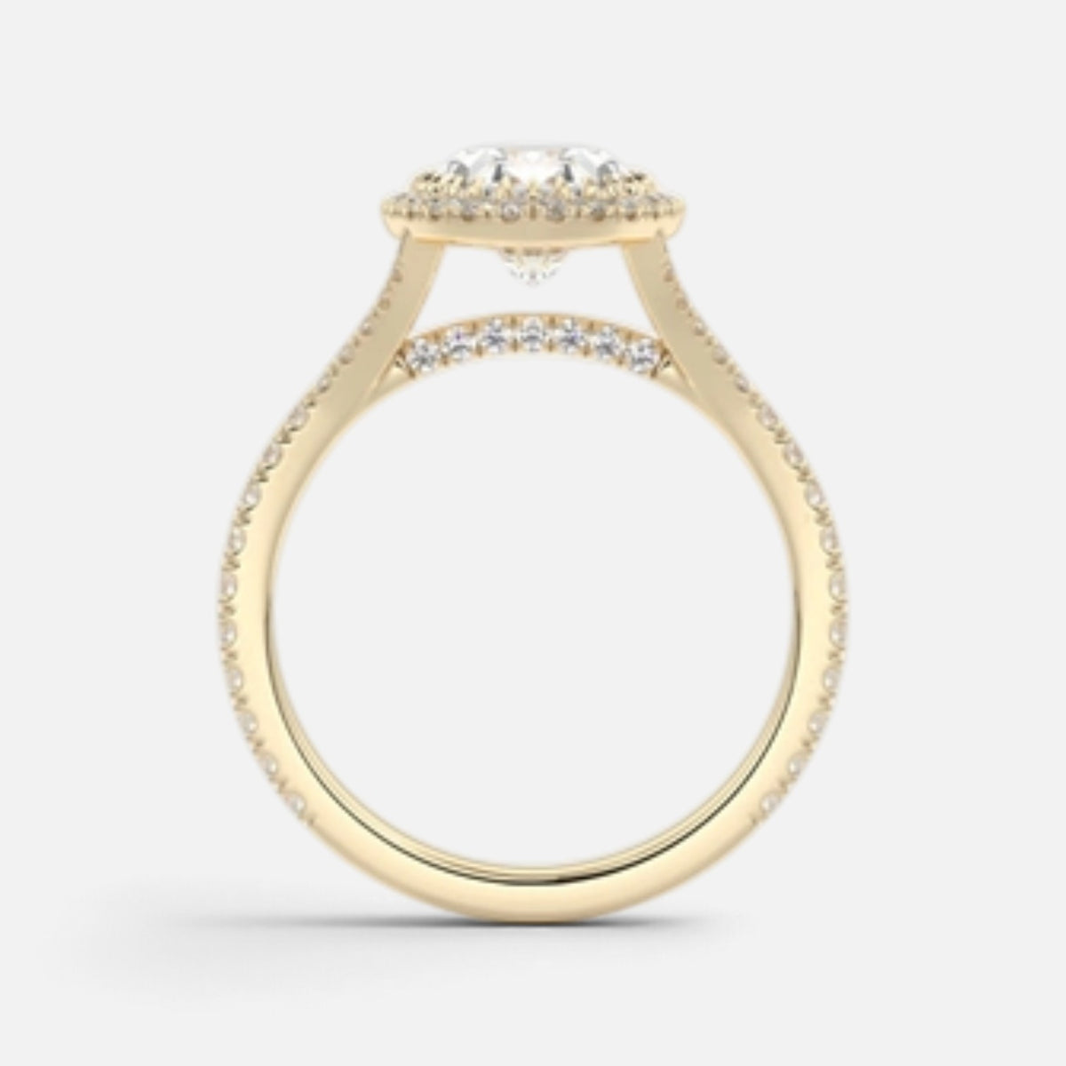 The ELMA Ring