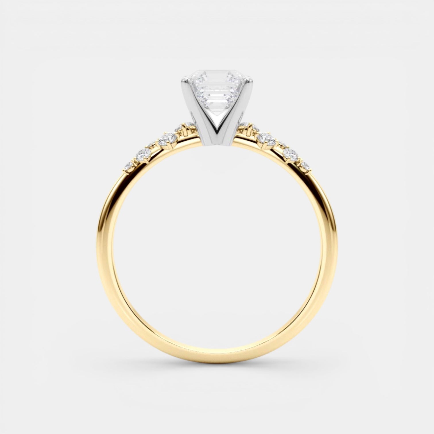 The ARIEL Ring